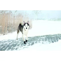 Trixie Walker Active Protective Boots - csízma (fekete) kutyák részére (L)