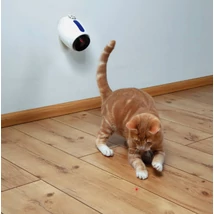 KT25.Trixie Laser Pointer Moving Light - játék (lézeres mutató) macskák részére (11cm)