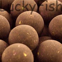 SBS Soluble Premium Ready-Made Boilies Ace Lobworm (csaliféreg) 20mm 5kg SBS Soluble Premium Ready-Made Boilies Ace Lobworm (csaliféreg) 20mm 5kg