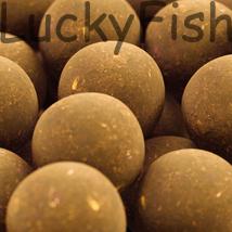 SBS Soluble Premium Ready-Made Boilies Bio Big Fish 20mm 1kg SBS Soluble Premium Ready-Made Boilies Bio Big Fish 20mm 1kg