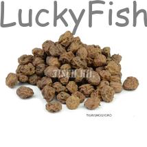 CARP ZOOM Hard Dry Tigernuts - Szárított tigrismogyoró, 2,5 kg CARP ZOOM Hard Dry Tigernuts - Szárított tigrismogyoró, 2,5 kg