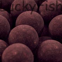 SBS 20+ Premium Ready-Made Boilies Krill & Halibut 34mm 1kg SBS 20+ Premium Ready-Made Boilies Krill & Halibut 34mm 1kg
