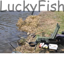Mivardi Feeder Master Fotel
