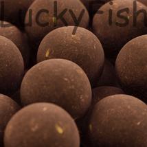 SBS Soluble Premium Ready-Made Boilies Ace Lobworm (csaliféreg) 16, 18, 20mm 250g SBS Soluble Premium Ready-Made Boilies Ace Lobworm (csaliféreg) 16, 18, 20mm 250g