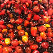 SBS Red One Particle Mix Natural 1kg SBS Red One Particle Mix Natural 1kg