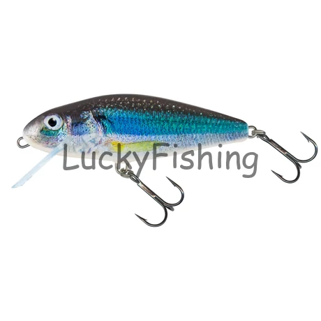 Salmo Perch 12cm Floating HOLO SMELT