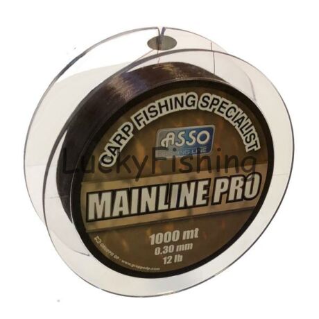 ASSO CARP MAINLINE PRO 1000M 0,28 BARNA 6,9KG