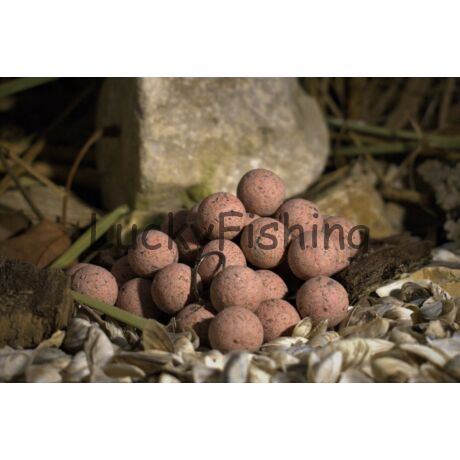 Balaton Baits TIGERBERRY balanced hookbaits 20mm 150gr