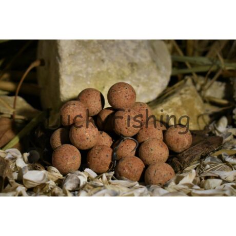 Balaton Baits P3 SQUID TUNA balanced hookbaits 20mm 150gr