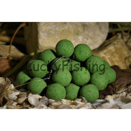 Balaton Baits GREEN WORM balanced hookbaits 20mm 150gr