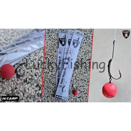 HiCARP - COMBI MUGGA RIG - SLIP D BARBED