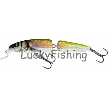 Salmo FANATIC FLOATING 7cm HOLO BLEAK