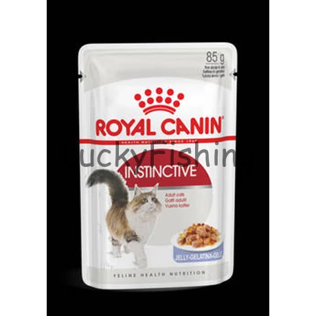 Royal Canin Feline Adult (Instictive Jelly) - alutasakos (hús, kocsonya) eledel macskák részére (85g)