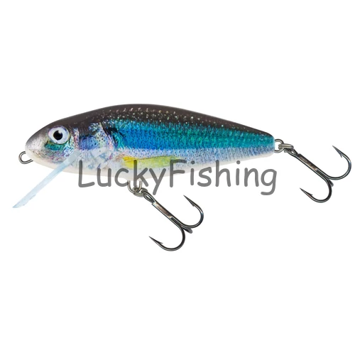 Salmo Perch 12cm Floating HOLO SMELT