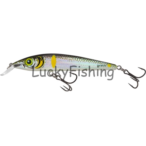 Salmo Rattlin Sting 9cm Suspending SMELT