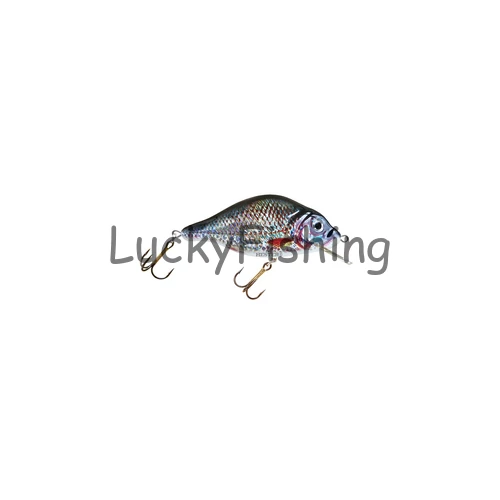 HESTER Crankbait Carp 5cm 6g – Úszó wobbler (0,3–1,2m)