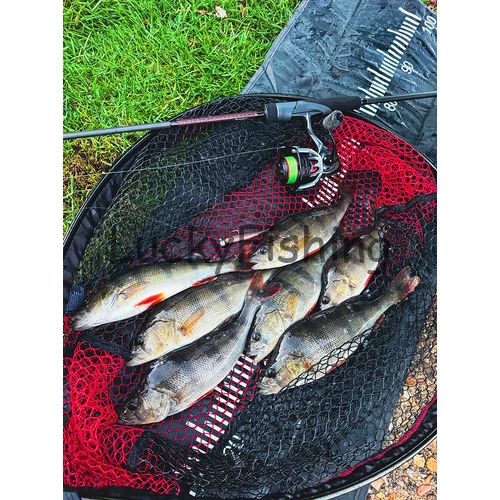 Fox Rage Mini Tiddler – Mixed Colour Pack Loaded (7cm)
