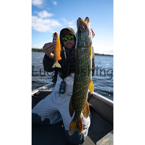 Fox Rage Jointed Replicant – 27cm 10