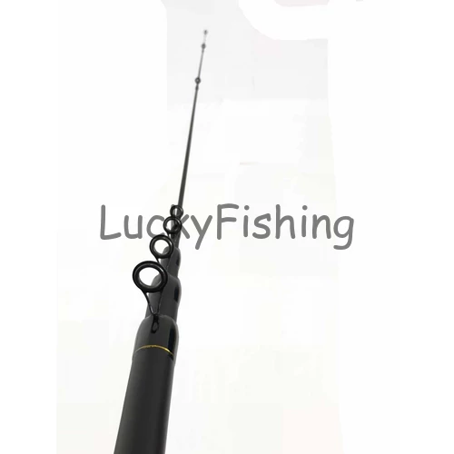 SILSTAR RC1 CARBON BOLOGNESE 5M