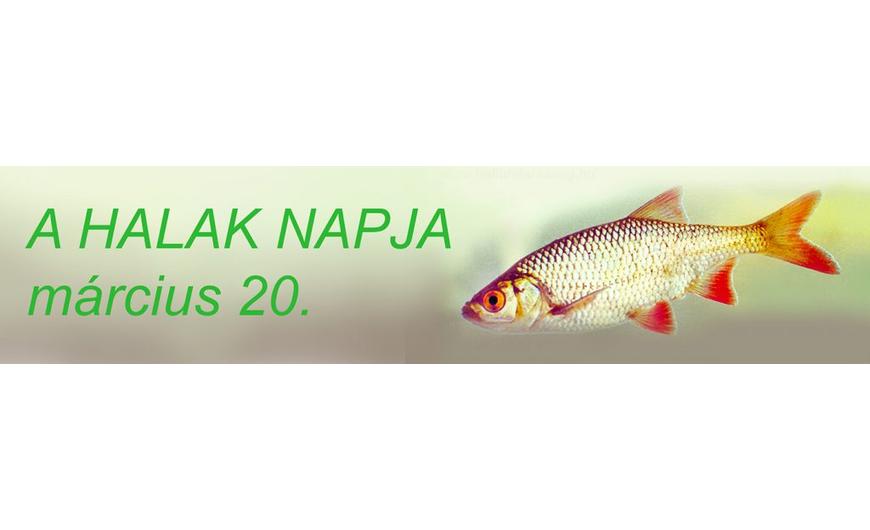 Halak napja 2021
