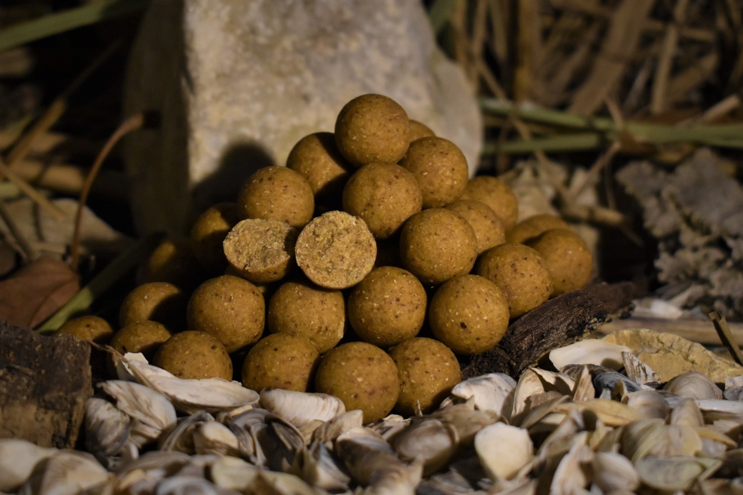 Balaton Baits Prémium Bojli MAPLE & NUTS 20mm 1kg