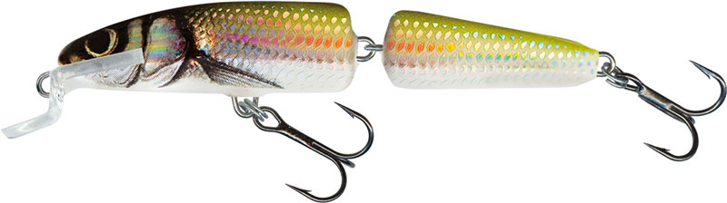 Salmo FANATIC FLOATING 7cm HOLO BLEAK